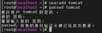 image-20250826154329831