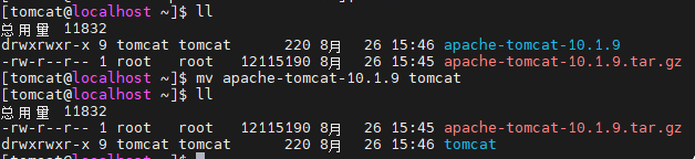 image-20250826154916980